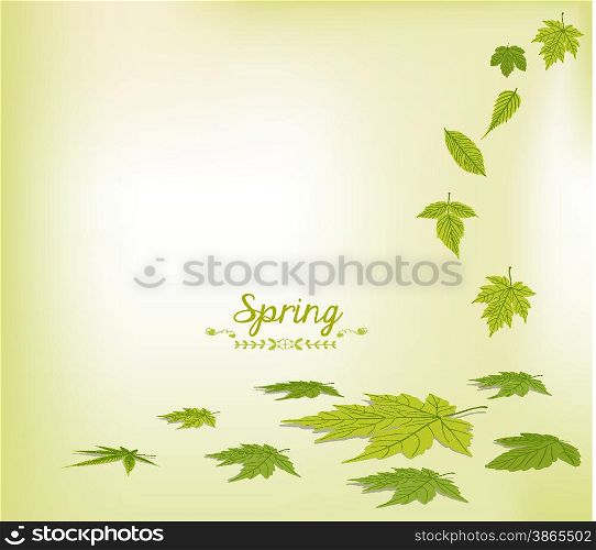 spring falling leaves background
