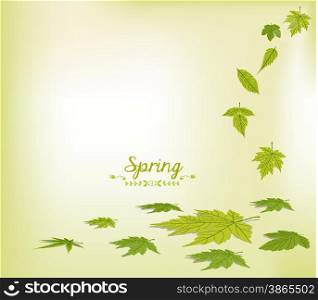 spring falling leaves background