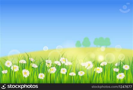 Spring field of flowers of daisies, chamomile and green juicy grass, meadow, blue sky, white clouds. Spring field of flowers of daisies, chamomile and green juicy grass, meadow, blue sky, white clouds. Vector, illustration, isolated, template, banner, flyer
