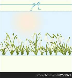 Spring floral abstract template background with Snowdrop flower and place for text Good idea for elegant poster, wedding invitation, easter postcard, birthday card, baby shower Vector illustration. Spring floral abstract template background with Snowdrop flower and place for text