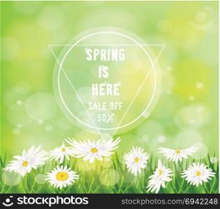 Spring Floral Background Invitation