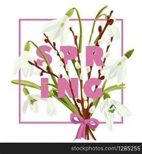 Spring floral background with beautiful snowdrop and pussy willow flower. Multicoloured greeting card with white, pink and green color.Vector illustration. Spring floral background with beautiful snowdrop and pussy willow flower