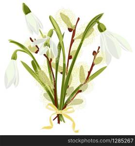 Spring floral background with beautiful snowdrop and pussy willow flower. Multicoloured greeting card with white, yellow and green color.Vector illustration. Spring floral background with beautiful snowdrop and pussy willow flower