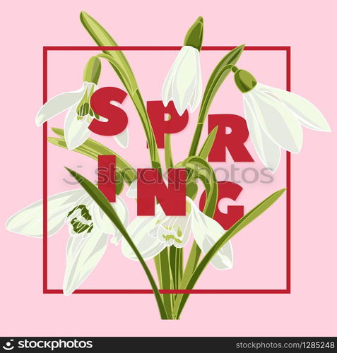 Spring floral background with beautiful snowdrop flowers. Multicoloured greeting card on pink background .Vector illustration. Spring floral background with beautiful snowdrop flowers