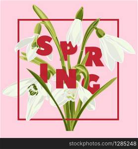 Spring floral background with beautiful snowdrop flowers. Multicoloured greeting card on pink background .Vector illustration. Spring floral background with beautiful snowdrop flowers