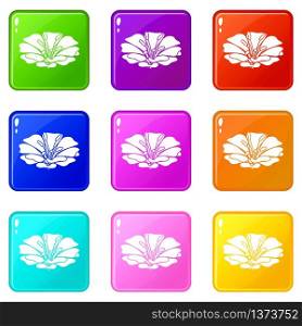 Spring flower icons set 9 color collection isolated on white for any design. Spring flower icons set 9 color collection
