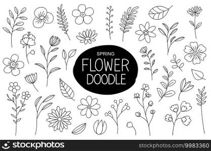 Spring flowers doodle in hand drawn style. Floral and leaves elements with spring flowers collection.