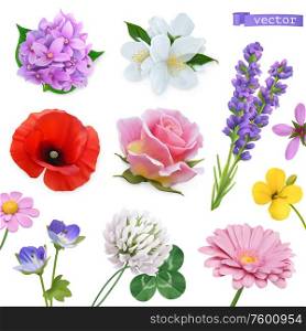 Spring flowers. Lilac, jasmine, poppy, rose, lavender, clover, chamomile. 3d realistic vector icon set