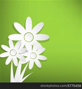 Spring flowers on green background