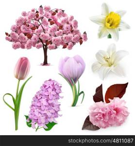 Spring flowers, vector icon set