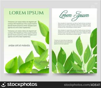 Spring flyers template design with green leaves. Spring flyers template design with green leaves vector