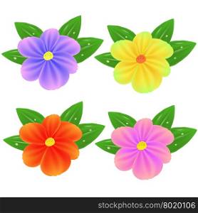Spring Fresh Colorful Flowers Isolated on White BAckground. Spring Fresh Colorful Flowers
