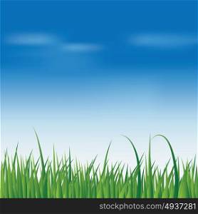 Spring fresh green grass over blue sky background, vector illustration.