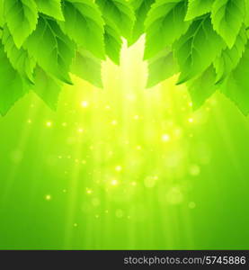 Spring fresh green leaves. Vector illustration EPS10