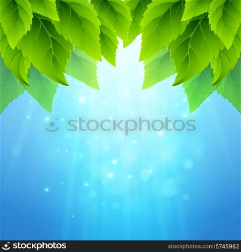 Spring fresh green leaves. Vector illustration EPS10