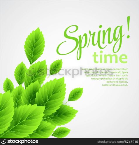 Spring fresh green leaves. Vector illustration EPS10. Spring fresh green leaves. Vector illustration