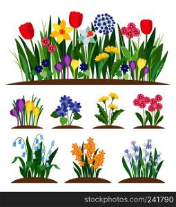 Spring garden flowers. Grass and plant. Early spring flowering vector set. Spring garden flowers. Grass and plant. Early spring flowering vector