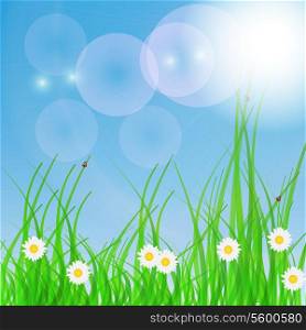 Spring green background. Grass and flower.