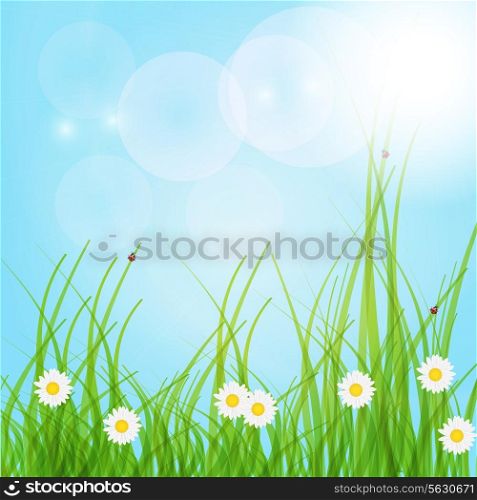 Spring green background. Grass and flower. . EPS 10.