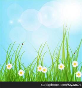 Spring green background. Grass and flower. . EPS 10.