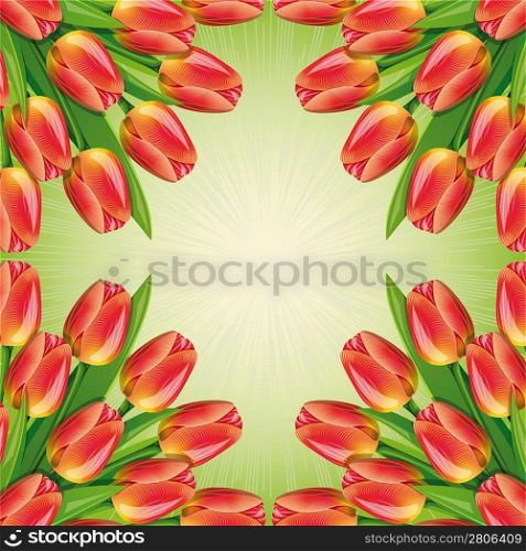 Spring green background with frame and red tulips.Clipping Mask