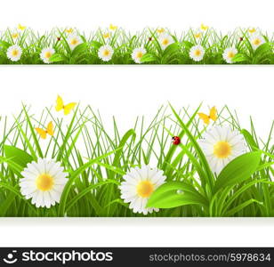 Spring green grass seamless border. Detailed vector illustration