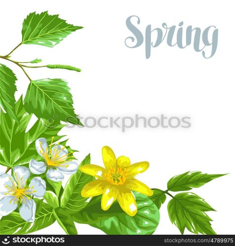 Spring green leaves and flowers. Background with plants twig buds. Spring green leaves and flowers. Background with plants twig buds.