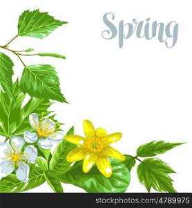Spring green leaves and flowers. Background with plants twig buds. Spring green leaves and flowers. Background with plants twig buds.