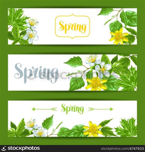 Spring green leaves and flowers. Banners with plants twig buds. Spring green leaves and flowers. Banners with plants twig buds.