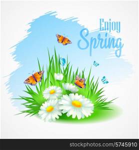 Spring greeting card with daisies. Vector illustration EPS10