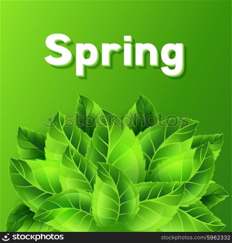 Spring illustration with bunch of green leaves. Card template or ecology concept floral design for packaging, greeting cards and advertising.