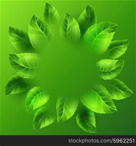 Spring illustration with green leaves. Card template or ecology concept of floral design for packaging, greeting cards and advertising.