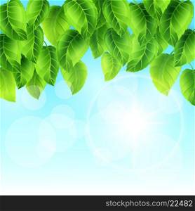 Spring illustration with green leaves on sky. Card template floral design for packaging, greeting cards and advertising.
