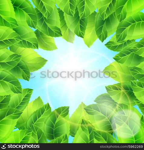 Spring illustration with green leaves on sky. Card template floral design for packaging, greeting cards and advertising.