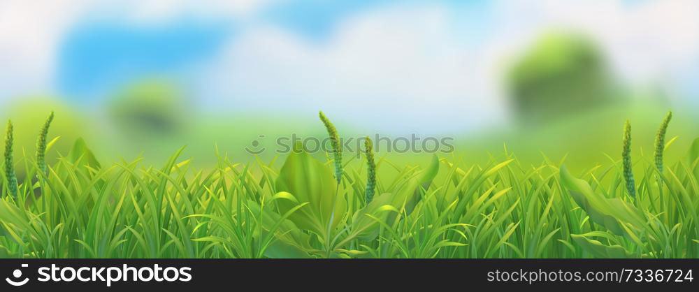 Spring landscape. Green grass vector illustration