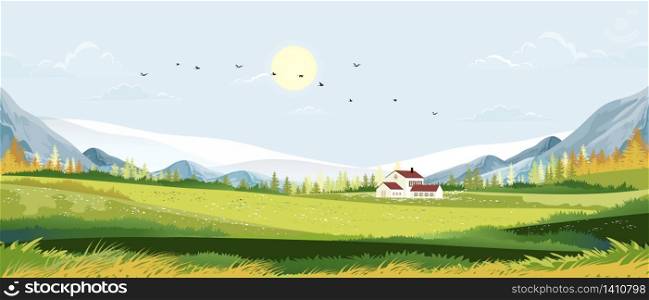 Spring landscape in Sunny day village with meadow on hills with blue sky, Panoramic countryside of green field with farmhouse, mountains and grass flowers,Vector Summer or Spring nature background