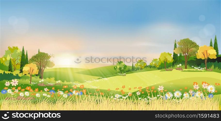Spring landscape morning in countryside with sun rays shining through green meadow on hill with orange and blue sky,Vector cartoon natural background on Summer or Spring with grass field and flower