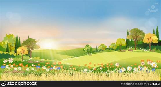 Spring landscape morning in countryside with sun rays shining through green meadow on hill with orange and blue sky,Vector cartoon natural background on Summer or Spring with grass field and flower