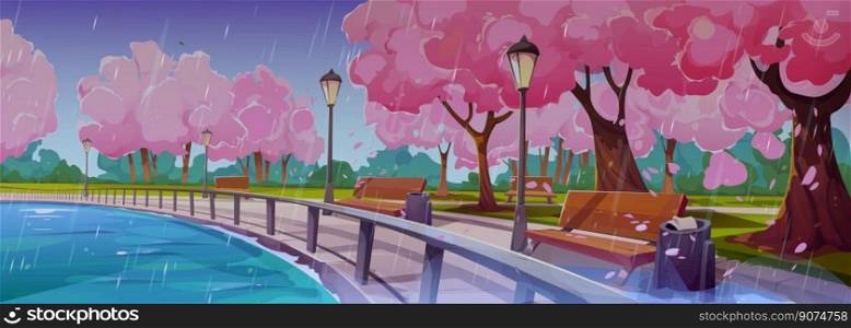 Spring landscape with embankment, japanese sakura trees, lake and benches in rain. Park or garden with chinese cherry trees on river shore in rainy weather, vector cartoon illustration. Spring landscape with embankment and sakura trees