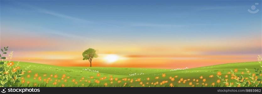 Spring lanscape with morning sky and single tree on green grass fields, Natural farmland with orange flowers and meadow with sunset in evening,Vector holizon banner on spring or summer
