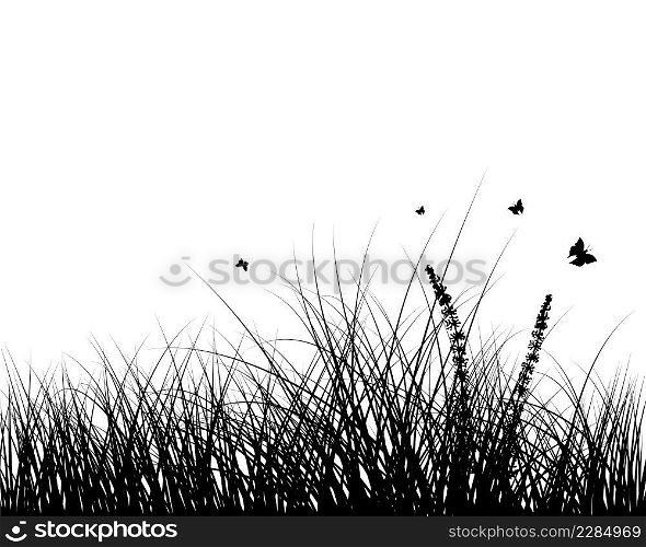 Spring meadow grass. Fresh plants, seasonal growth grass, separated botanical elements, herbs. Natural lawn bushes, floral border. Vector Illustration.