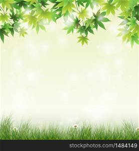 Spring meadow with green leaves background.Vector