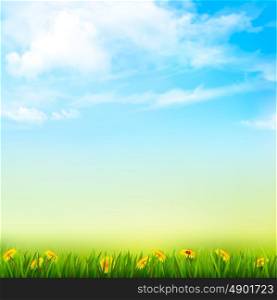 Spring Nature Background With A Green Grass And Blue Sky With Clouds. Vector.
