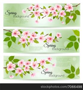 Spring nature background with cherry branch and green leaves. Vector
