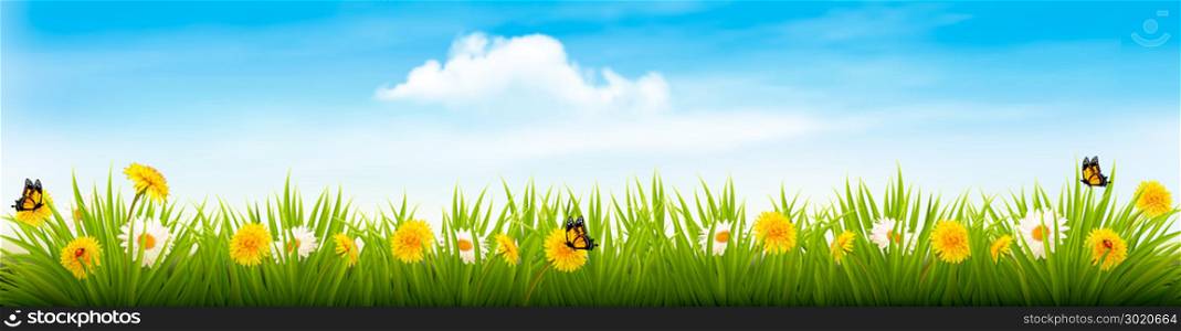 Spring nature landscape banner with flowers and butterflies. Vector.