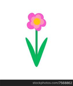 Spring pink flower in cartoon style. Vector isolated blooming bud with green leaves, botanical icon with color floral element, romantic blossom in flat design. Spring Pink Flower in Flat Style Vector Isolated