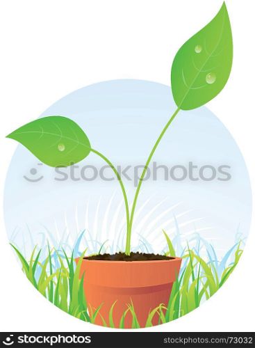 Spring Plant Seed In Pot. Illustration of a young plant seed before it will become beautiful flower