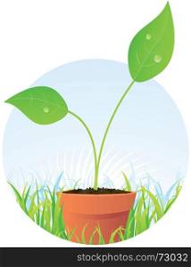 Spring Plant Seed In Pot. Illustration of a young plant seed before it will become beautiful flower
