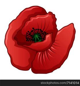 Spring red poppy icon. Cartoon of spring red poppy vector icon for web design isolated on white background. Spring red poppy icon, cartoon style