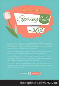 Spring sale, discount 30 percent off, webpage decorated by white tulip, shopping online. Website with springtime prices vector, cost off on new collection. Discount and Spring Sale, Pink Tulips, Web Vector